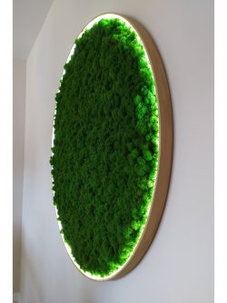 Rond mosschilderij met rendiermos en led verlichting