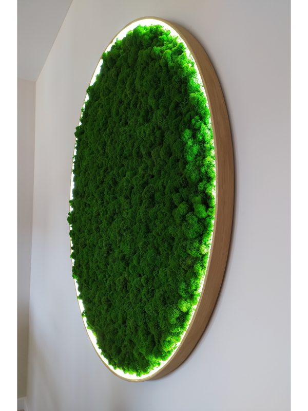 Rond mosschilderij met rendiermos en led verlichting