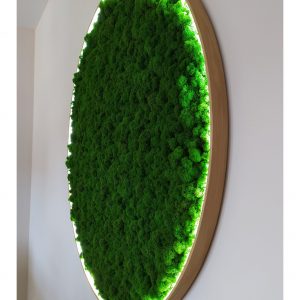Rond Mosschilderij met Rendiermos en LED Verlichting