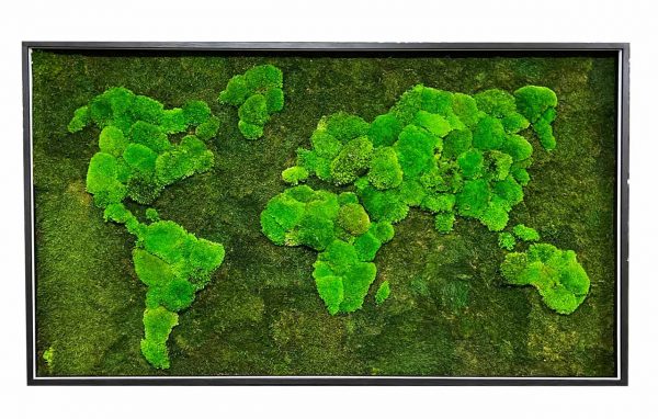 Mosschilderij wereldkaart met bolmos platmos