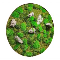 Obrazy z machu | dekorácie z machu | steny z machu | obrazy z machu