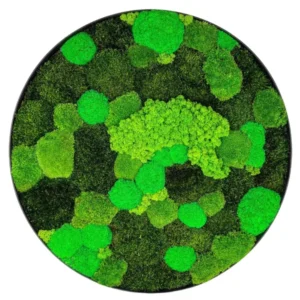 Rond Jungle Mosschilderij met Mos en Planten