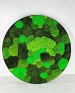 Rond Jungle Mosschilderij met Mos en Planten