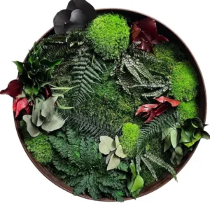 Rond Mosschilderij met Gestabiliseerde Planten en Mos