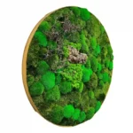 Rond Mosschilderij met Hout en mix Mos