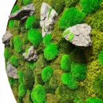 Ronde mosschilderij met mix van mossen en met stenen