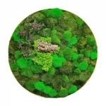 Rond Mosschilderij met Hout en mix Mos