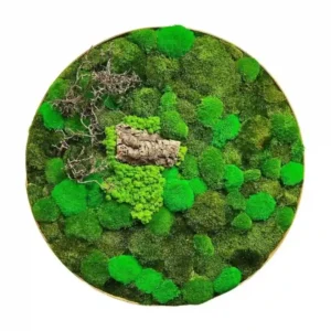 Rond Mosschilderij met Hout en mix Mos