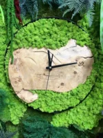 Ronde Wandklok gemaakt van Hout, Mos en Planten