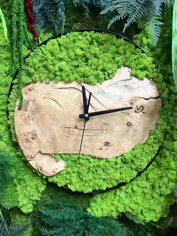 Ronde Wandklok gemaakt van Hout, Mos en Planten