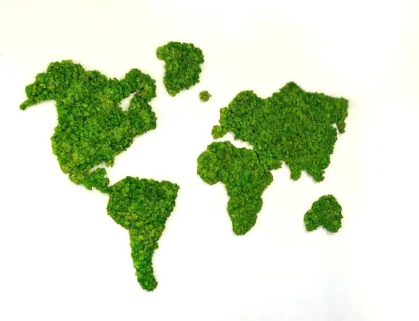 Mos wereldkaart met rendiermos