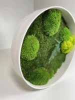 Rond Mosschilderij met Platmos Bolmos Rendiermos en Varen