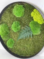Rond Mosschilderij met Platmos Bolmos Rendiermos en Varen