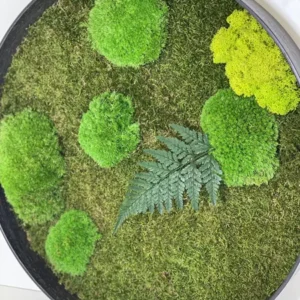 Rond Mosschilderij met Platmos Bolmos Rendiermos en Varen