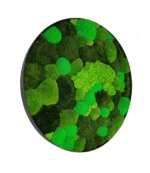 Rond Jungle Mosschilderij met Mos en Planten