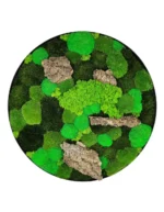 Ronde Mosschilderij met mix van Mossen en met Drijfhout