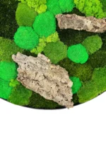 Ronde Mosschilderij met mix van Mossen en met Drijfhout