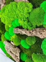 Ronde Mosschilderij met mix van Mossen en met Drijfhout