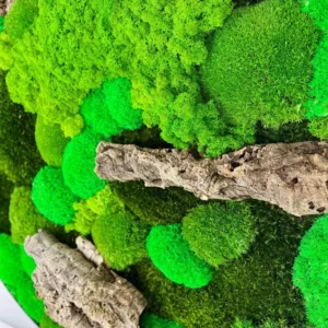Ronde Mosschilderij met mix van Mossen en met Drijfhout