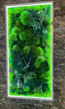 Schilderij met mos planten en led verlichting