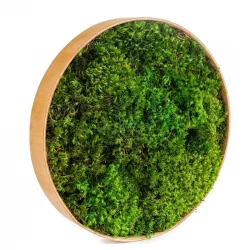 Ronde mosschilderij met provence mos