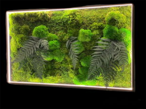 Mosschilderij met Bolmos, Provence Mos, Varen en LED Verlichting