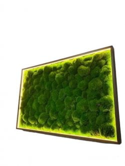 Mosschilderij met bolmos en led verlichting