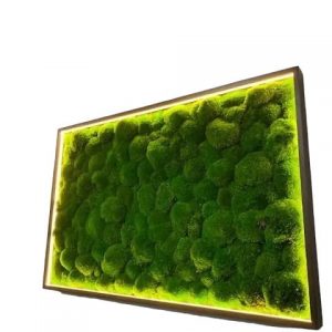 Mosschilderij met Bolmos en LED Verlichting