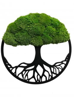 Mosschilderij boom - levensbomen met bolmos