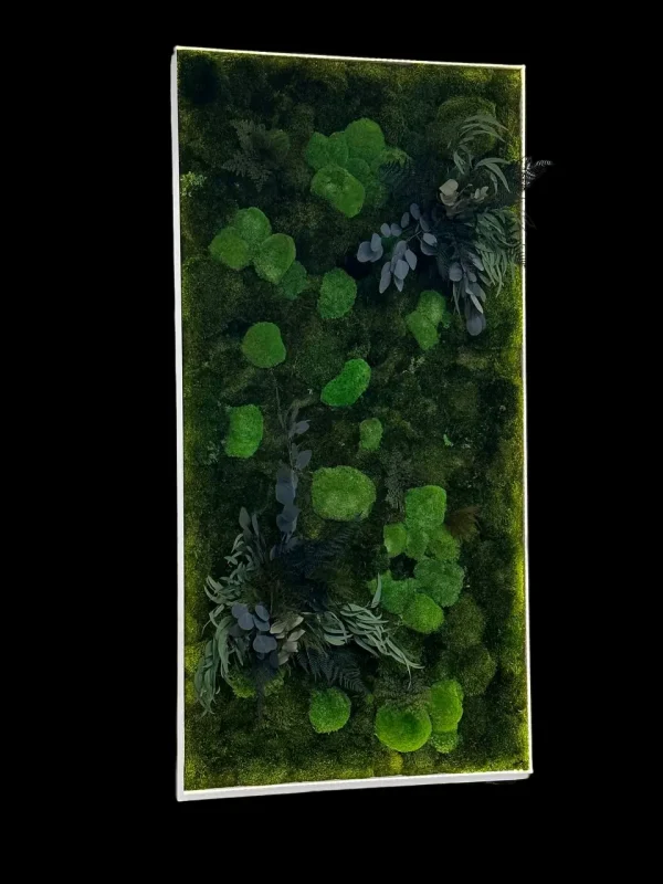 Schilderij met mos, planten en led verlichting