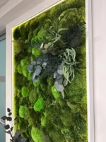 Planten Schilderij met Mos, Planten en LED Verlichting