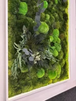 Planten Schilderij met Mos, Planten en LED Verlichting