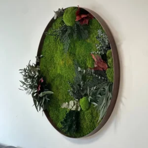 Rond Mosschilderij met Gestabiliseerde Planten en Mos