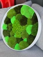 Rond Jungle Mosschilderij met Mos en Planten
