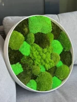 Rond Jungle Mosschilderij met Mos en Planten