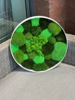 Rond Jungle Mosschilderij met Mos en Planten