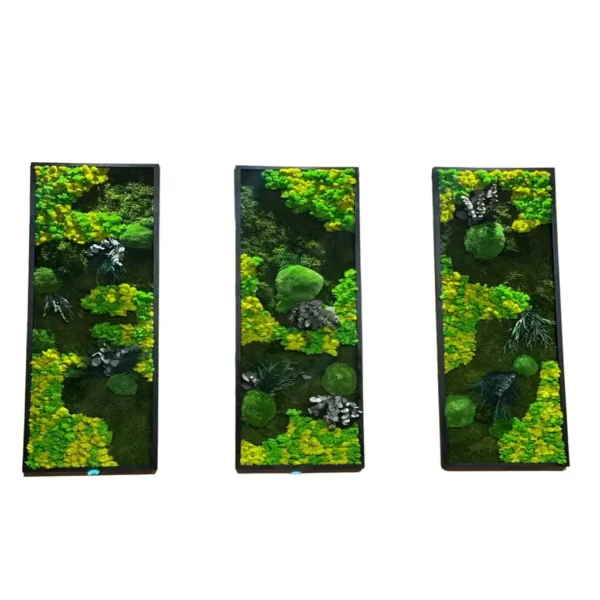 Set Mosschilderij met Planten