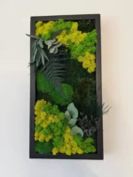 Set Mosschilderij met Planten