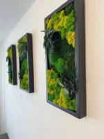 Set Mosschilderij met Planten