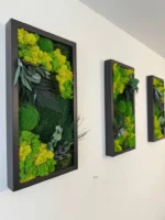 Set Mosschilderij met Planten