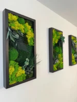 Set Mosschilderij met Planten