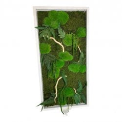 Mosschilderij met planten drijfhout en led verlichting