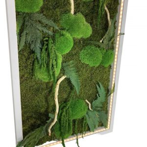 Mosschilderij met Planten Drijfhout en LED Verlichting