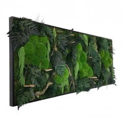 Mosschilderij met hout en planten