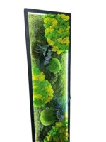 Set Mosschilderij met Planten