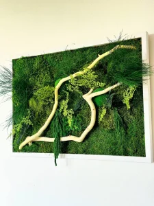 Mosschilderij met Planten en Drijfhout