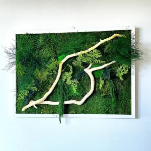 Mosschilderij met planten en drijfhout