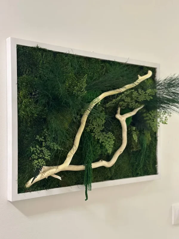 Mosschilderij met planten en drijfhout