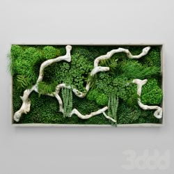 Mosschilderij met planten en drijfhout
