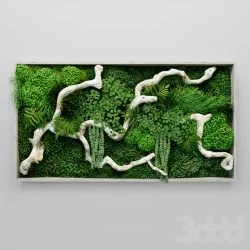 Mosschilderij met planten en drijfhout